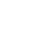 verified-user